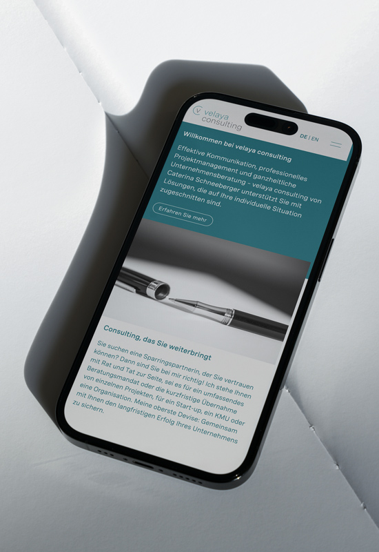 Website Consulting Basel